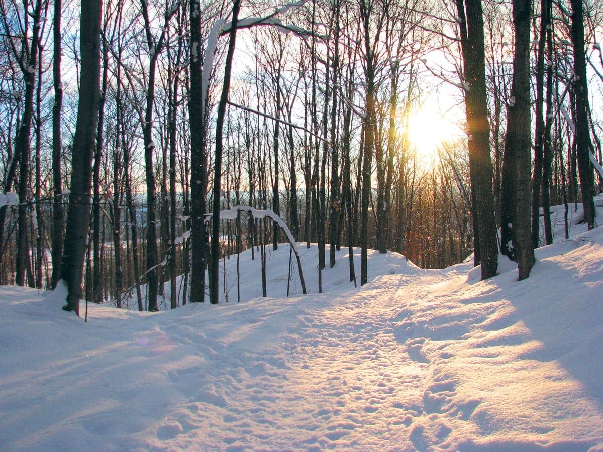 Guide to Top Winter Trails and Outdoor Recreation in Grand Traverse County