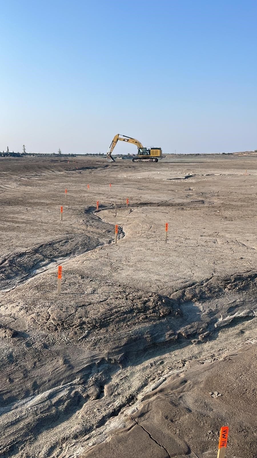 Dead fish found after pond dewatered at Seminole County construction site