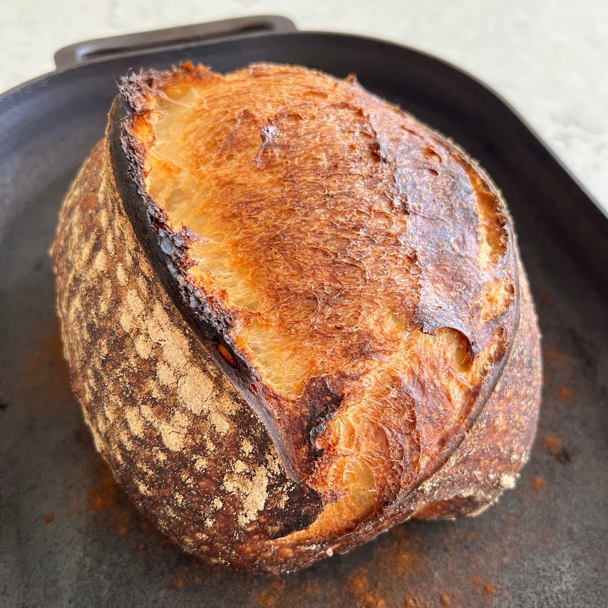 Easy sourdough loaf skips long folds for reliable home baking