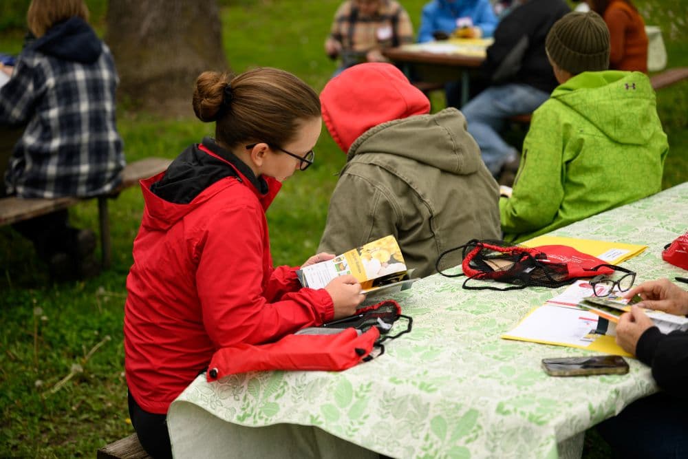 Iowa foragers to learn mushroom identification at Camp Wa-No-Ki class