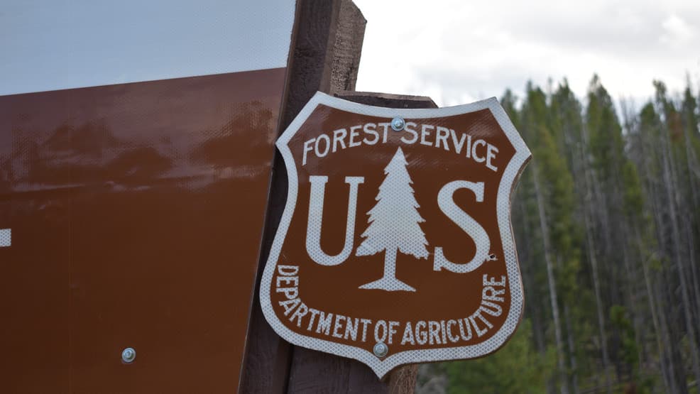 Forest seeks public input on recreation fee increases at campgrounds, cabins