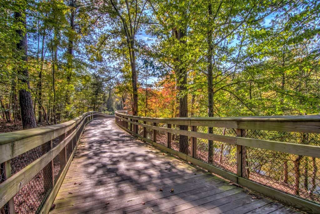 Wake County's Best Family-Friendly Greenways and Parks for Every Age