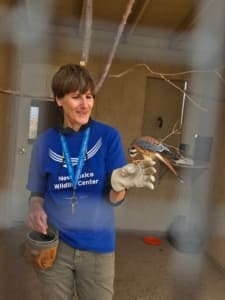 New Mexico Wildlife Center Hosts Volunteer Orientation in Espanola Feb. 22