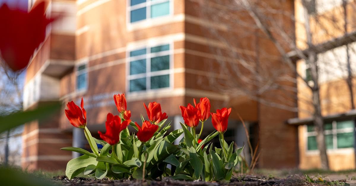 KU to honor alumnus Bob Swift for finance education nonprofit work