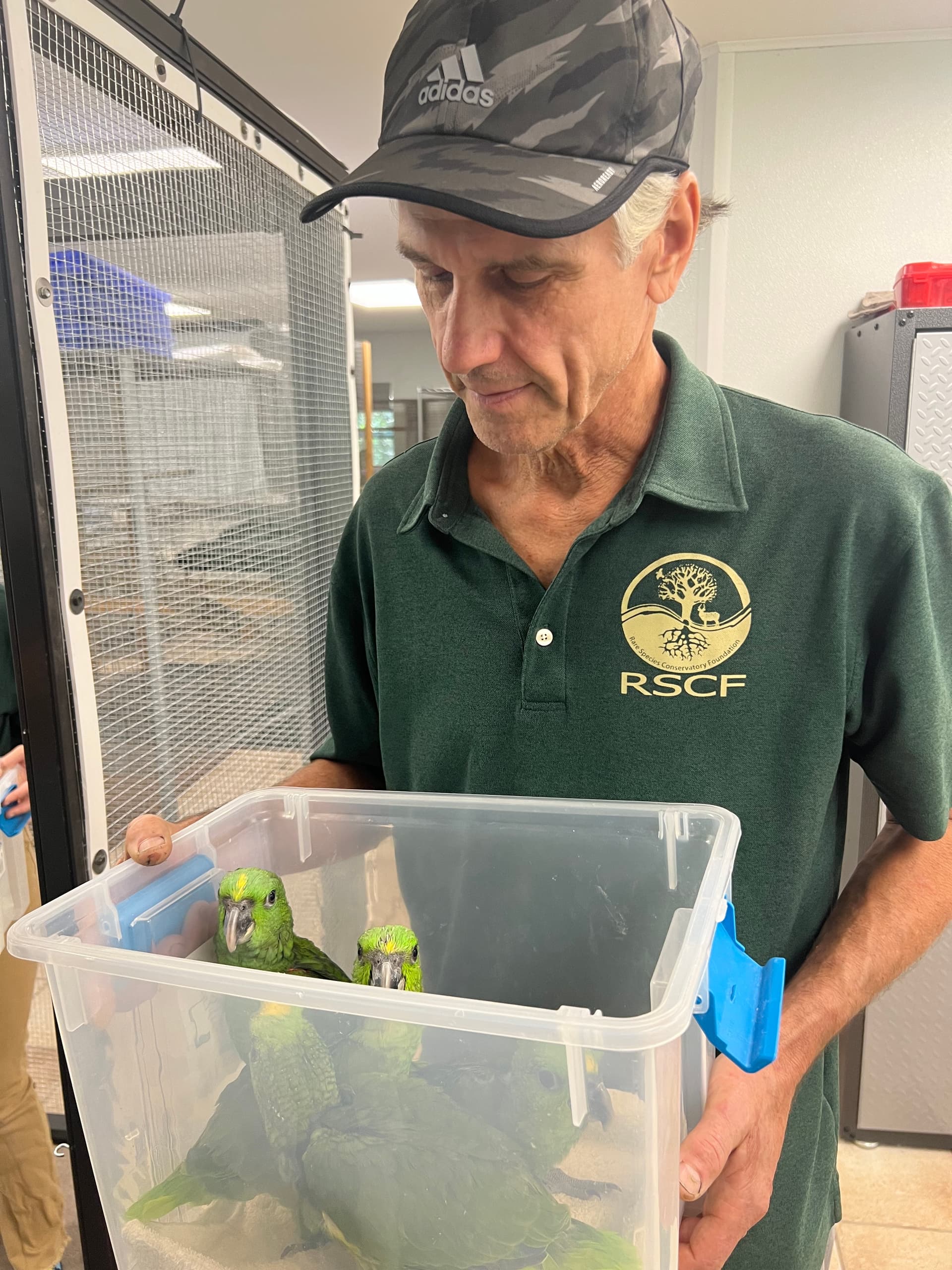 FIU Unveils Tools to Detect Illegal Parrot Trafficking, Citing Case Evidence