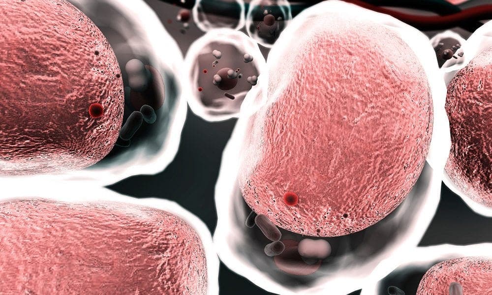 Johns Hopkins Develops Nanoparticles That Build Cancer-Fighting Immune Cells Inside the Body