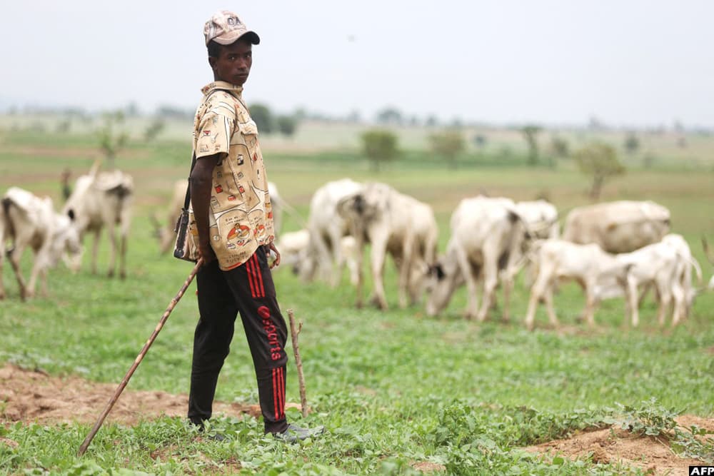 Land, Cattle and Identity: Six Forces Fueling Nigeria's Deadliest Plateau Conflict