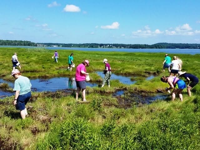 New Hampshire workshop teaches coastal foraging and wild mushroom basics
