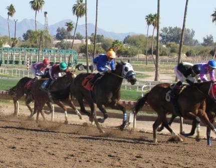 Turf Paradise Celebrates 70th Anniversary with Free Family Fun and Superfecta Cocktail