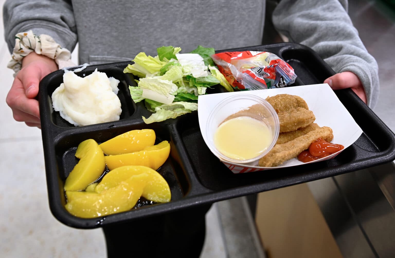 Stutsman-Area Lawmakers Debate School Meals Funding as House Passes HB1624