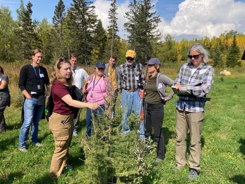 Minnesota Woodland Steward Iron Range cohort set for St. Louis, Lake counties