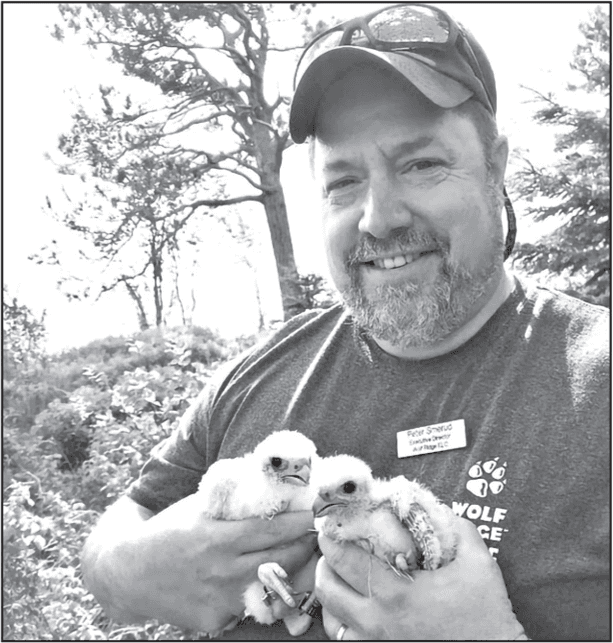 Peter Smerud retires after 40 years shaping Wolf Ridge's legacy