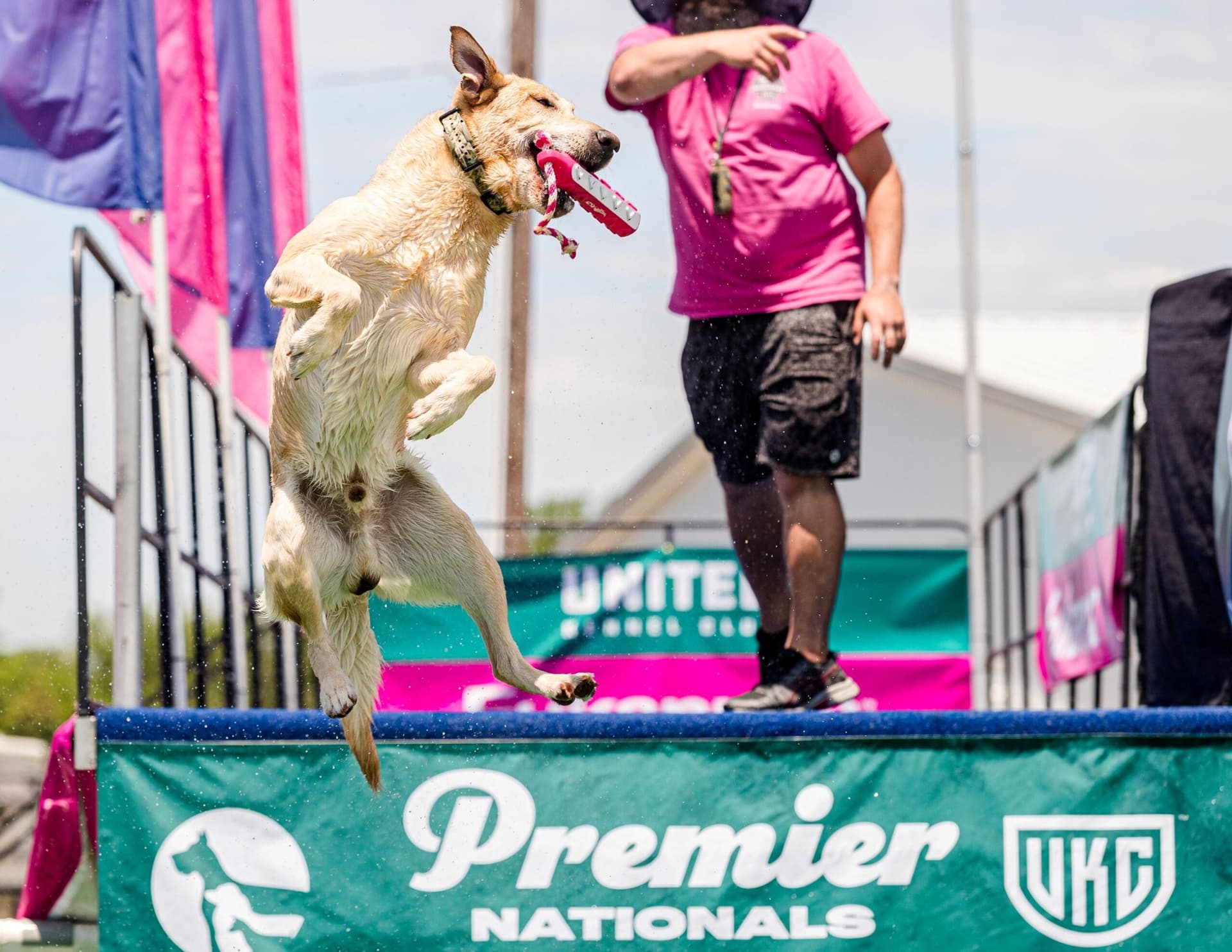 Related photo