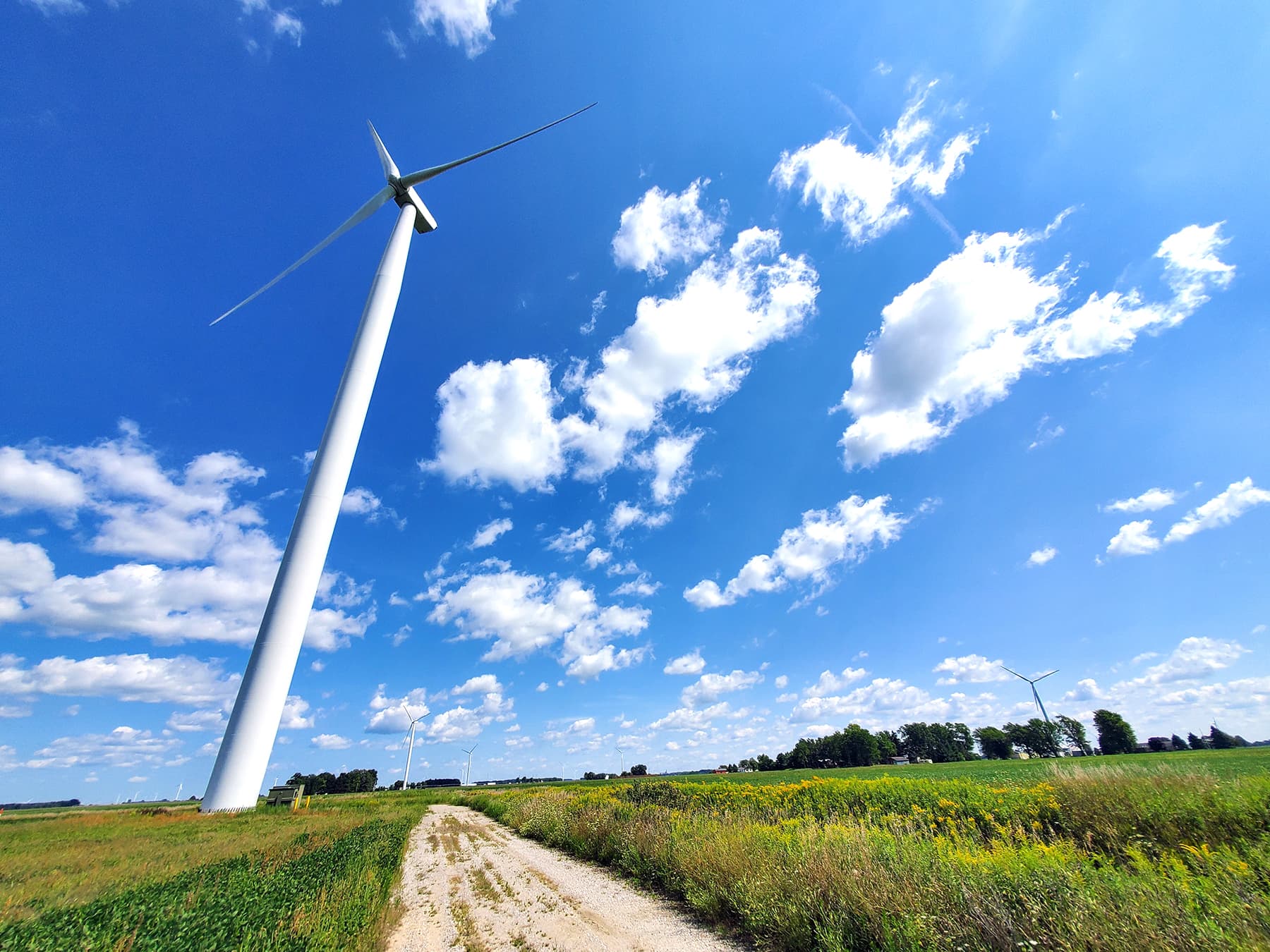 Crystal Township Opens to Zoning Amid Wind Project; Local Elections Preview