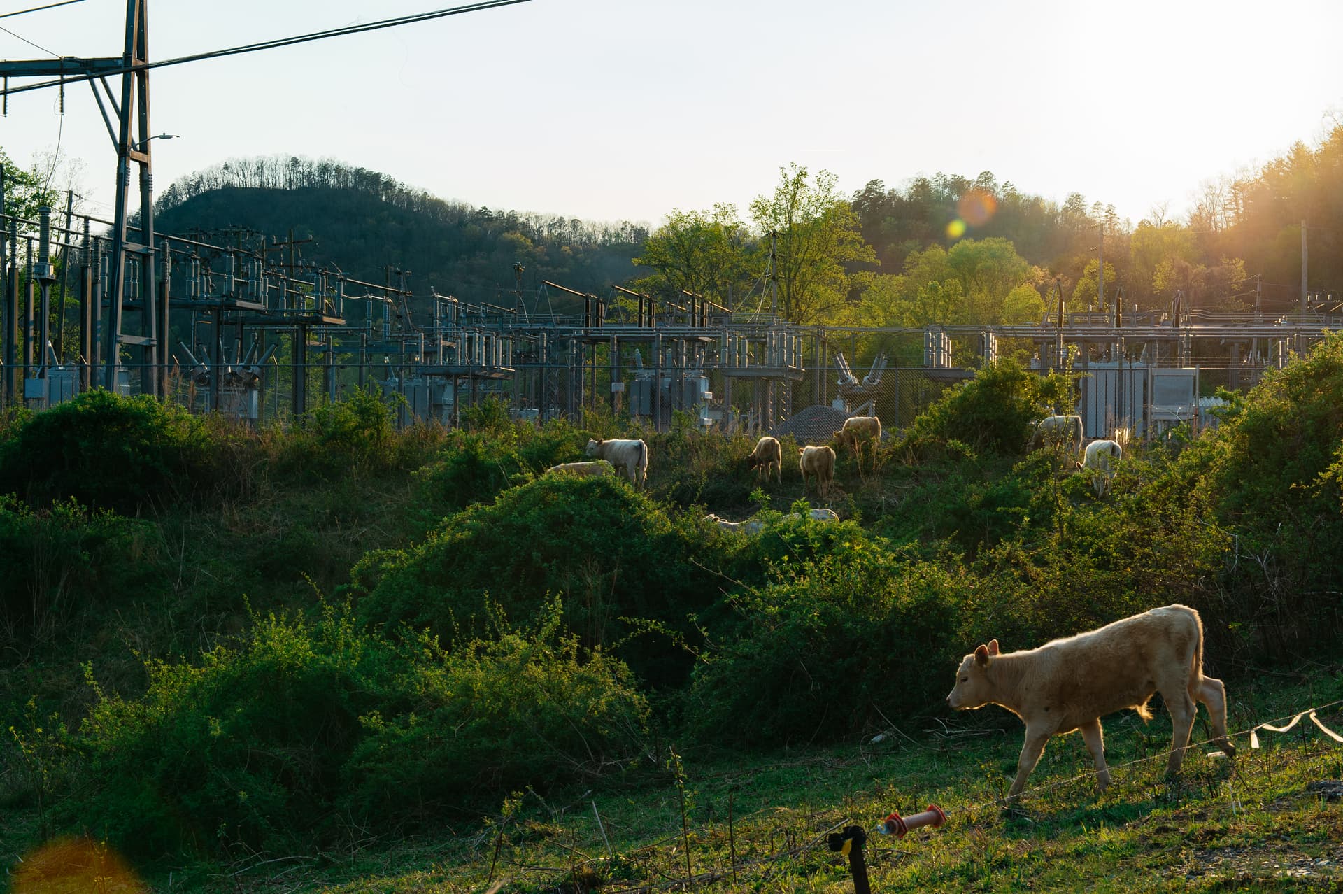 Raleigh lawmakers file bill to tighten data center oversight and costs