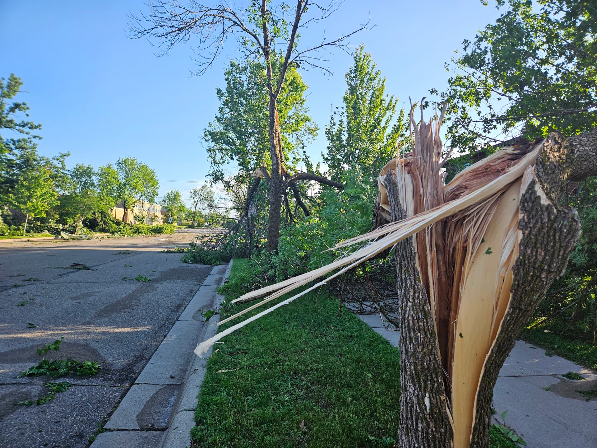 Bemidji Council Approves New Light Poles Along Highway 197 Corridor