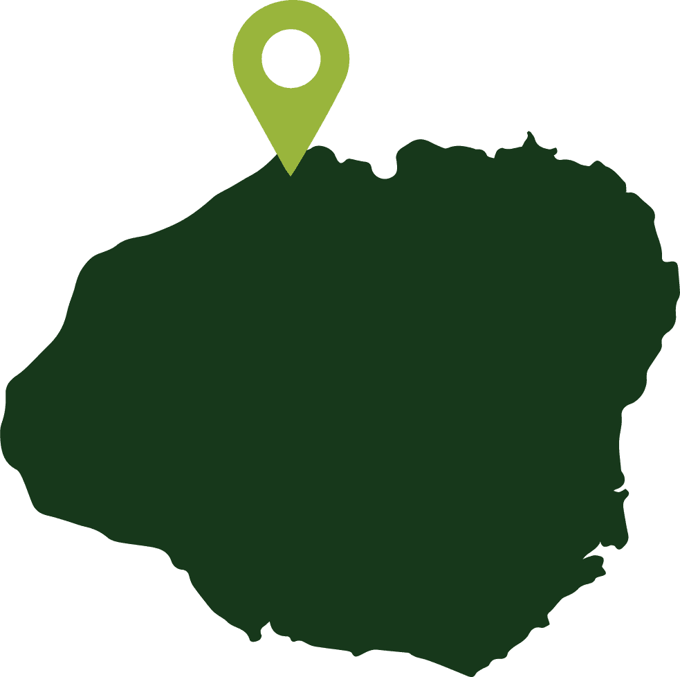 Limahuli Garden Conserves Native Plants, Connects Community on North Shore