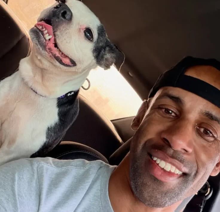 Lost‑and‑Found: Heartwarming Reunions Continue — Multiple Recent Cases Show How Community, Microchips and Shelters Reunite Dogs and Owners