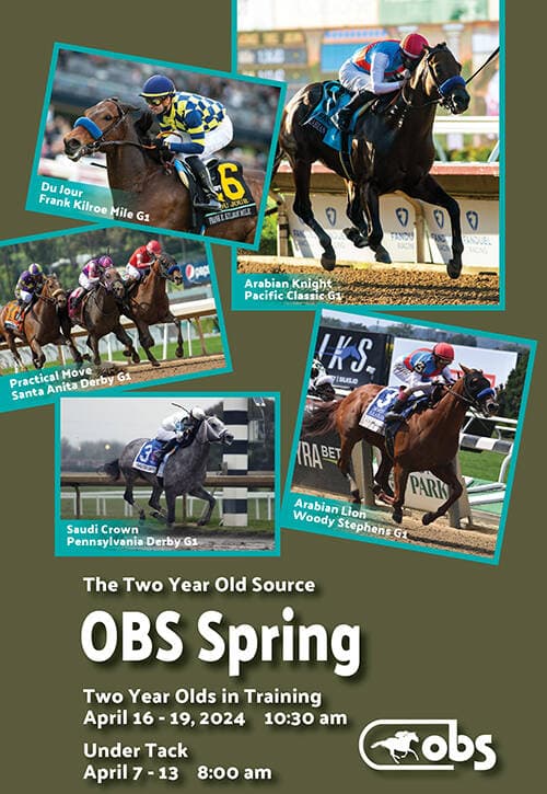 Meaning’s Oaks win boosts Stonehaven Steadings Curlin filly at OBS Sale