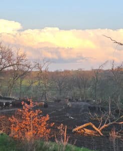 Protein snack boom boosts dairy demand, PepsiCo launches Doritos Protein