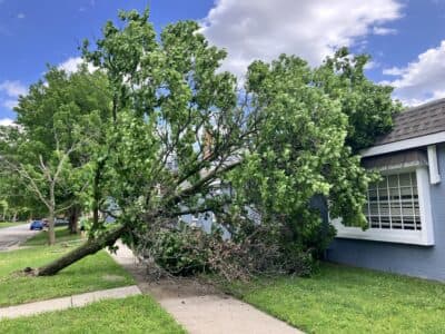 Storm drops tree on Lawrence Homeless Resource Center roof, no structural damage