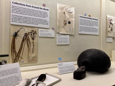 KU museum ties World Cup welcome to global collections exhibit