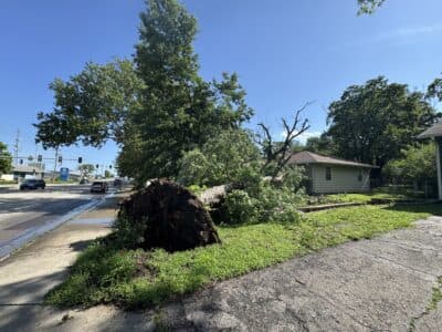 Lawrence forestry crew works nonstop after storms topple trees