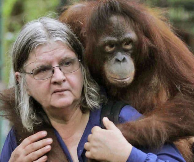 Biruté Galdikas, Third of the Great Ape Trimates, Leaves Lasting Legacy