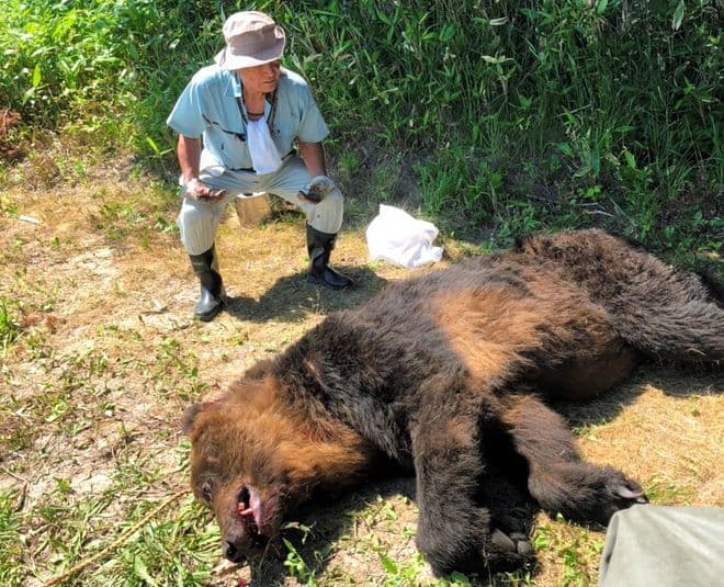 Japan Deploys Unconventional Measures to Curb Deadly Bear Attacks
