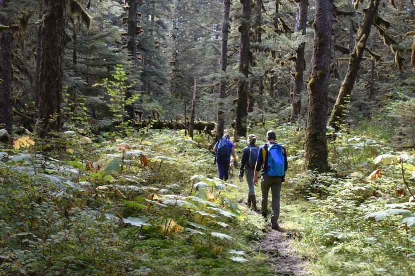 San Juan National Forest pairs trail work events with fee-free access day