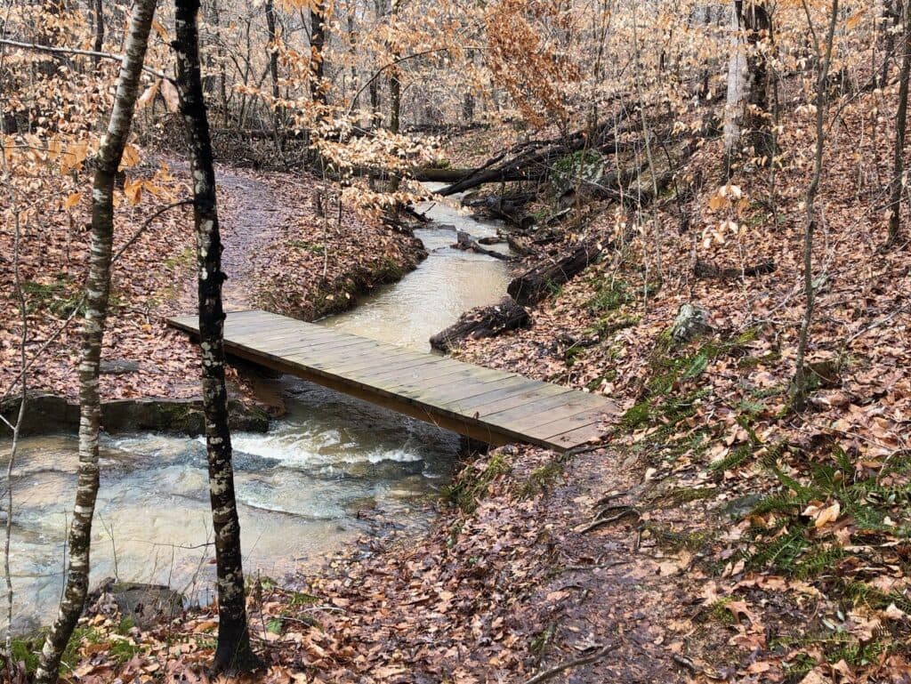 Alamance County Parks and Trails, What to Know Year Round