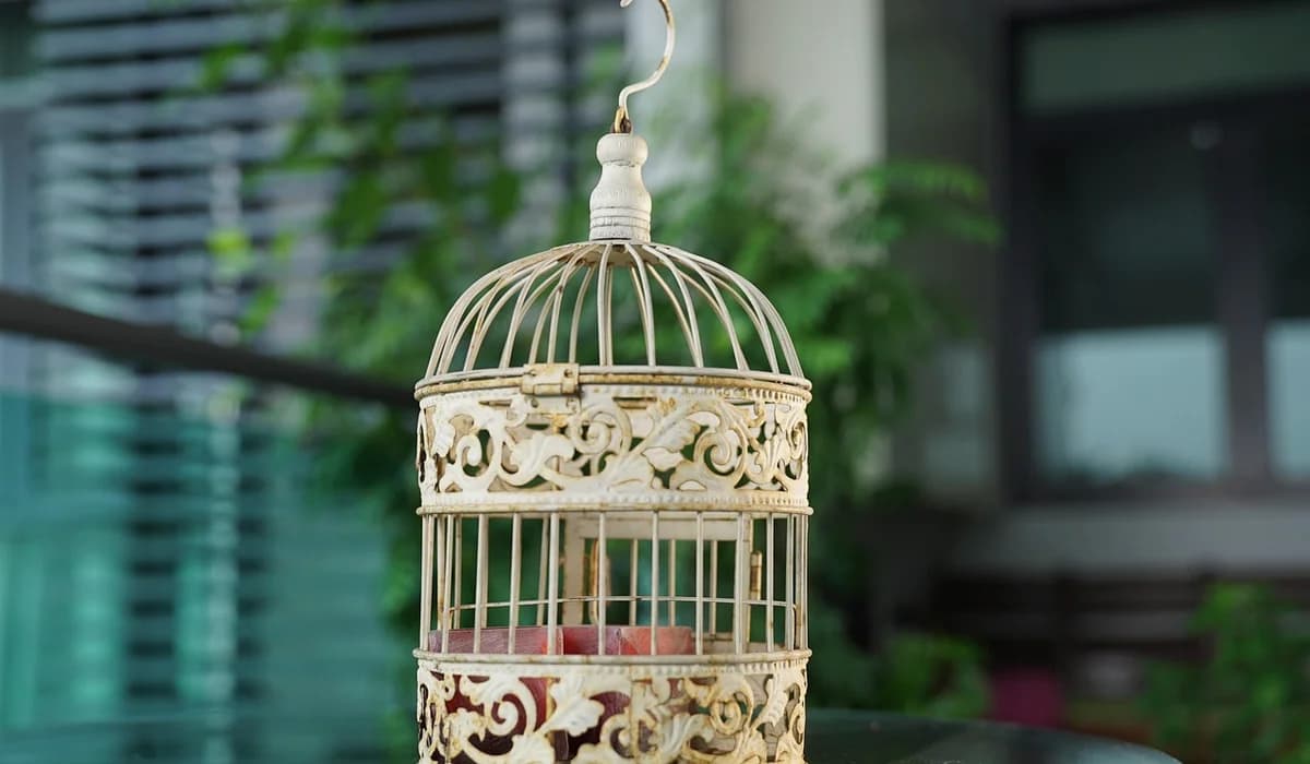 Parrot care guide weighs boarding, sitters and in-home care for travel