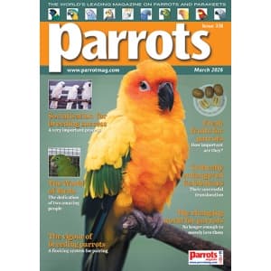 Parrots Magazine Issue 338 Covers Practical Care, Conservation, and Aviculture