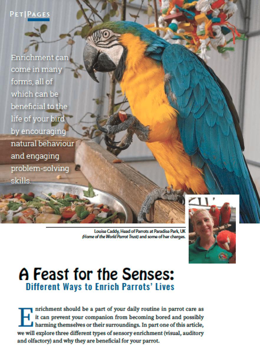 World Parrot Trust Parrot Care Hub Offers Evidence-Based Guides for Caregivers