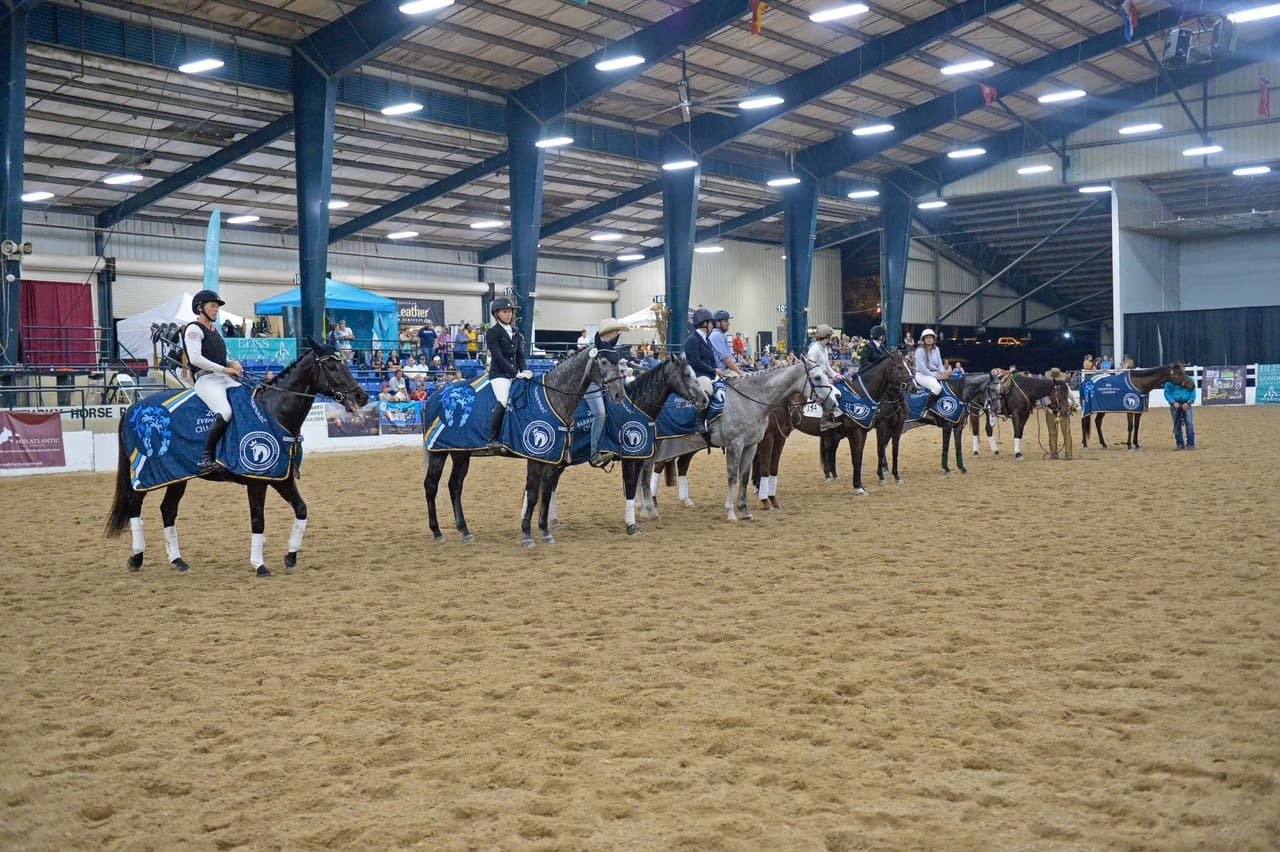 314 Trainers Accepted for 2026 Thoroughbred Makeover at Kentucky Horse Park