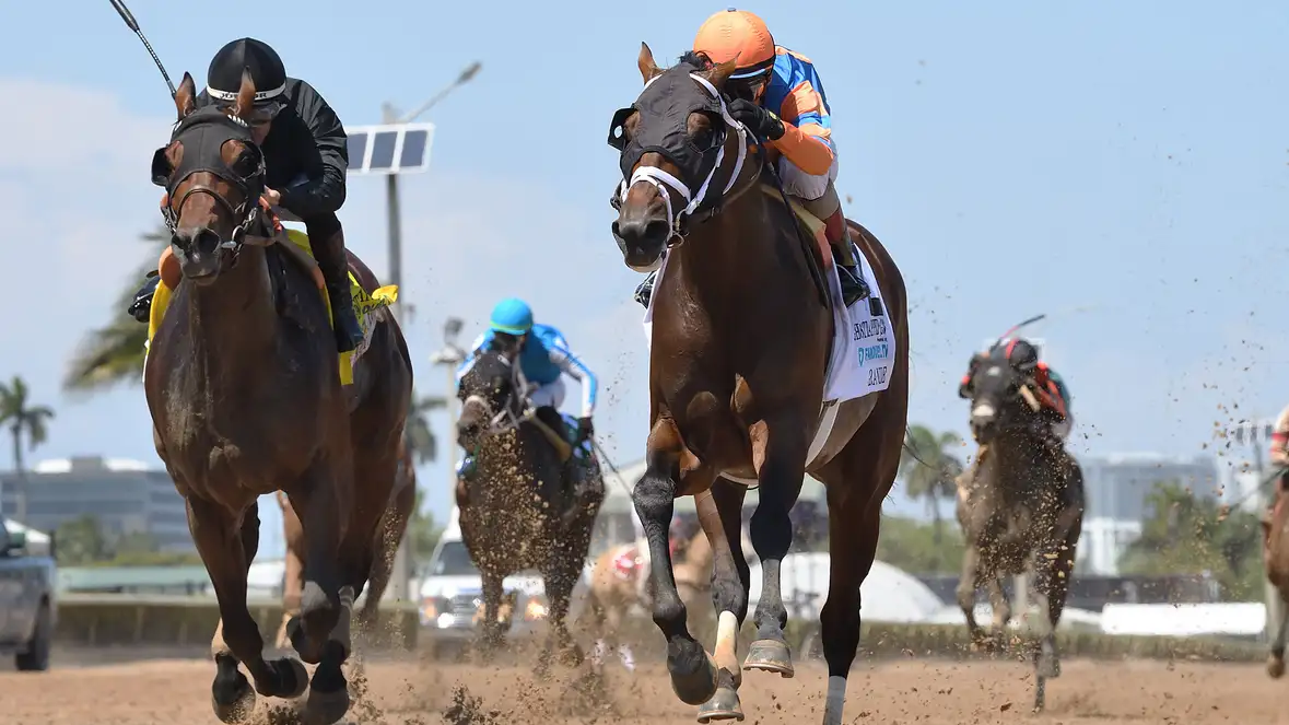 Immortalised Completes Perfect Gulfstream Meet With Cutler Bay Stakes Score