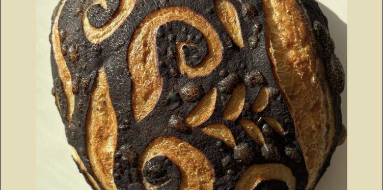 Tampa Workshop Teaches Bulk Fermentation and Dough Strength for Home Bakers