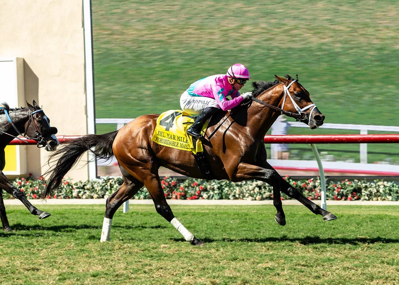 Formidable Man returns to Santa Anita for Grade 1 Shoemaker Mile showdown