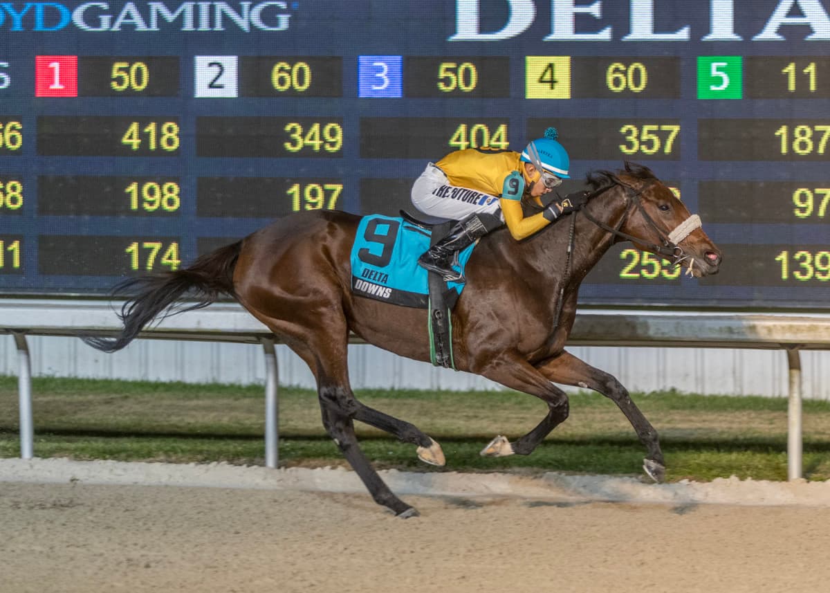 Free Like a Girl euthanized after trailer accident; Louisiana racing mourns