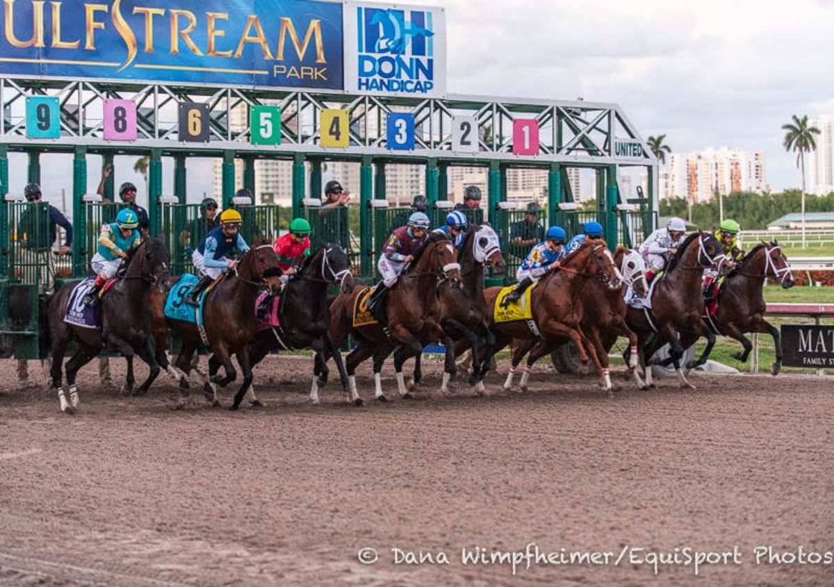 Pegasus Day Rainbow Six Likely to Draw Millions; Disco Time Favorite