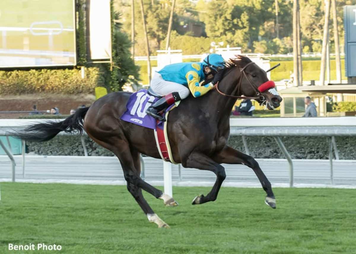 Bob and Jackie Held Off Stablemate Rijeka to Win Eddie Logan Stakes