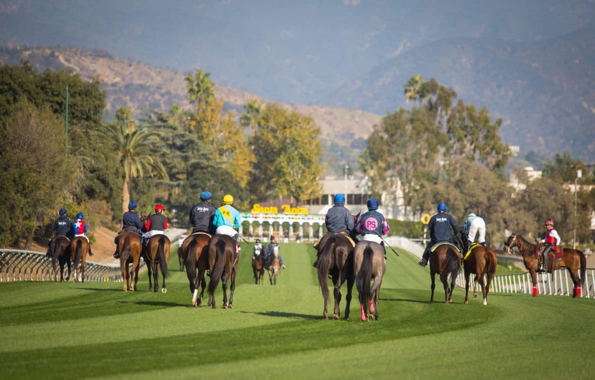 Peter Eurton Charts Targets for Paradise Lake, Medoro and Vibez After Stakes Wins