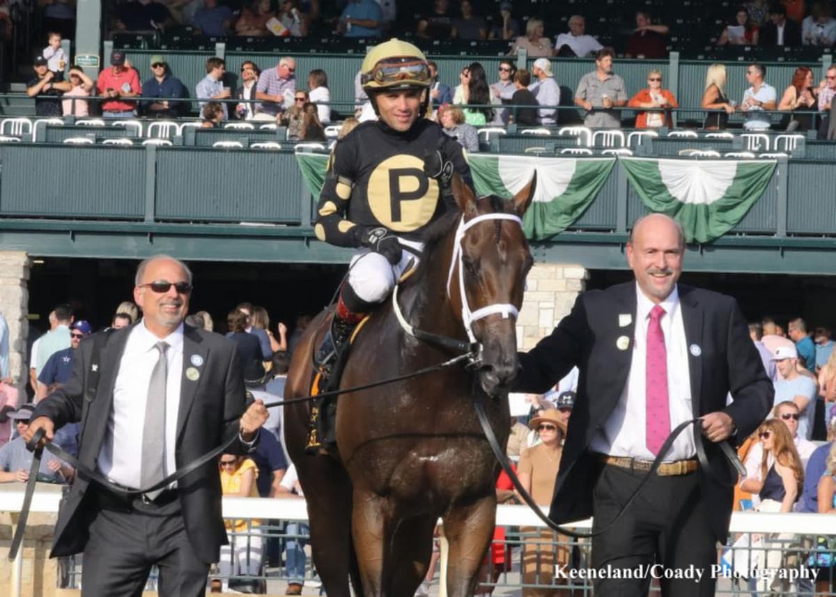 Surprsinglyperfect named HBPA 2025 Claiming Horse of the Year