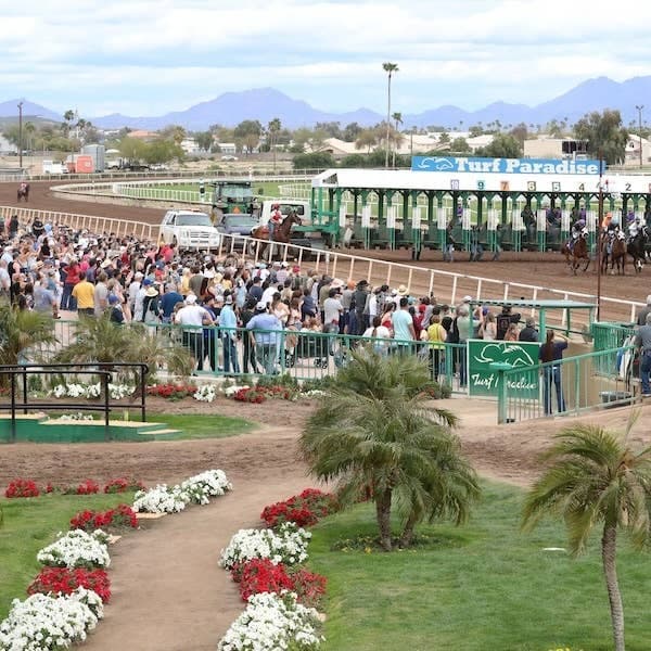 Turf Paradise sells out Derby Day as Arizona track stages comeback