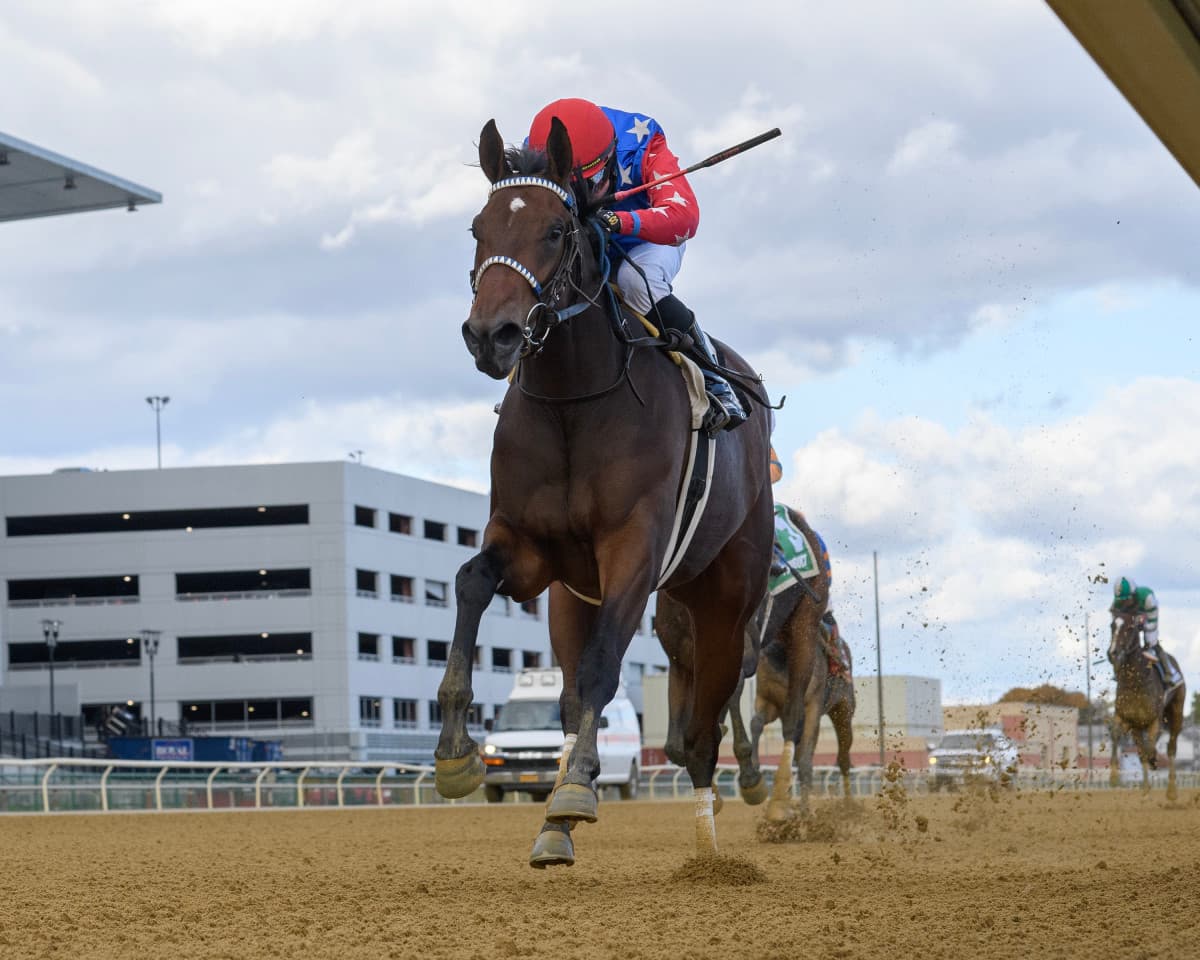 Kenny McPeek duo Liberty National, Sleepingonfreedom drill for Southwest Stakes