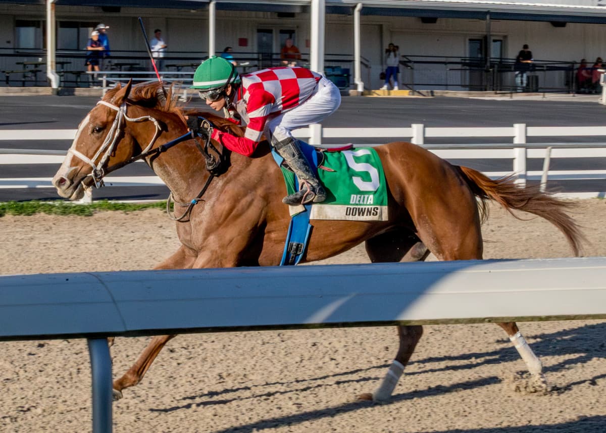 Veteran Trainer Tom Amoss Retires, Hands Reins to Long-Time Assistant