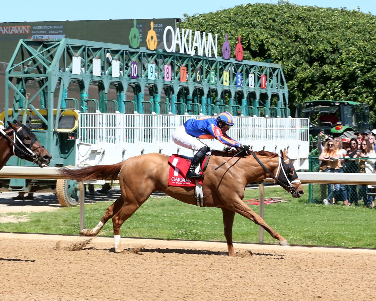 La Cara and Quietside Retired After Disappointing Azeri Stakes Finishes