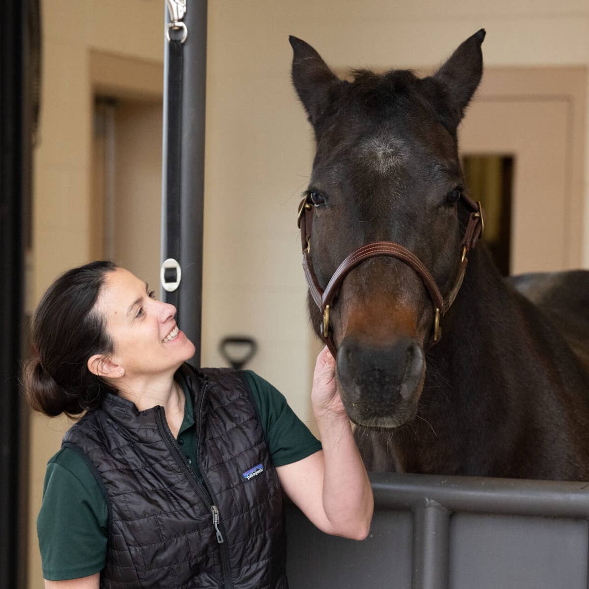 Study links poor air quality, slower Thoroughbred times in training period