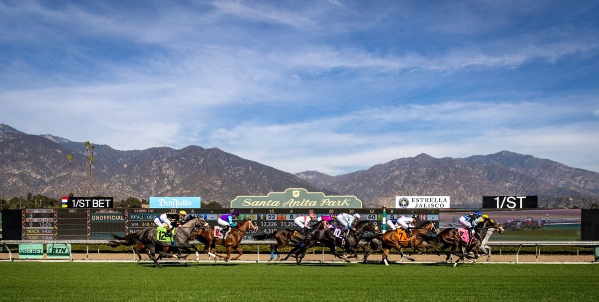 Two Santa Anita Races Called No-Contest After Incidents, Renewed Safety Calls