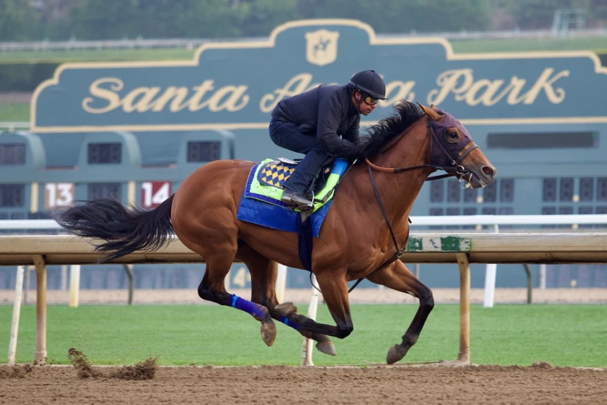 Potente, $2.4M yearling for Speedway Stables, wins Santa Anita debut for Baffert
